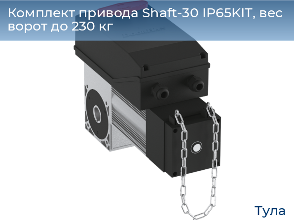 Комплект привода Shaft-30 IP65KIT, вес ворот до 230 кг, tula.doorhan.ru
