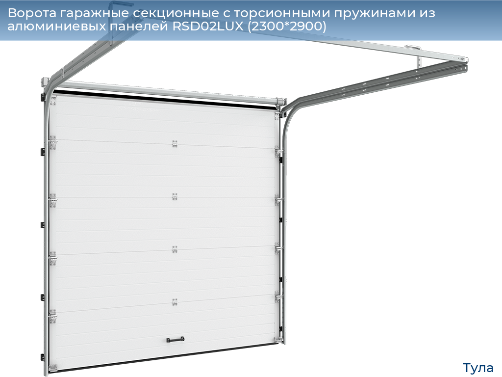 Ворота гаражные секционные с торсионными пружинами из алюминиевых панелей RSD02LUX (2300*2900), tula.doorhan.ru