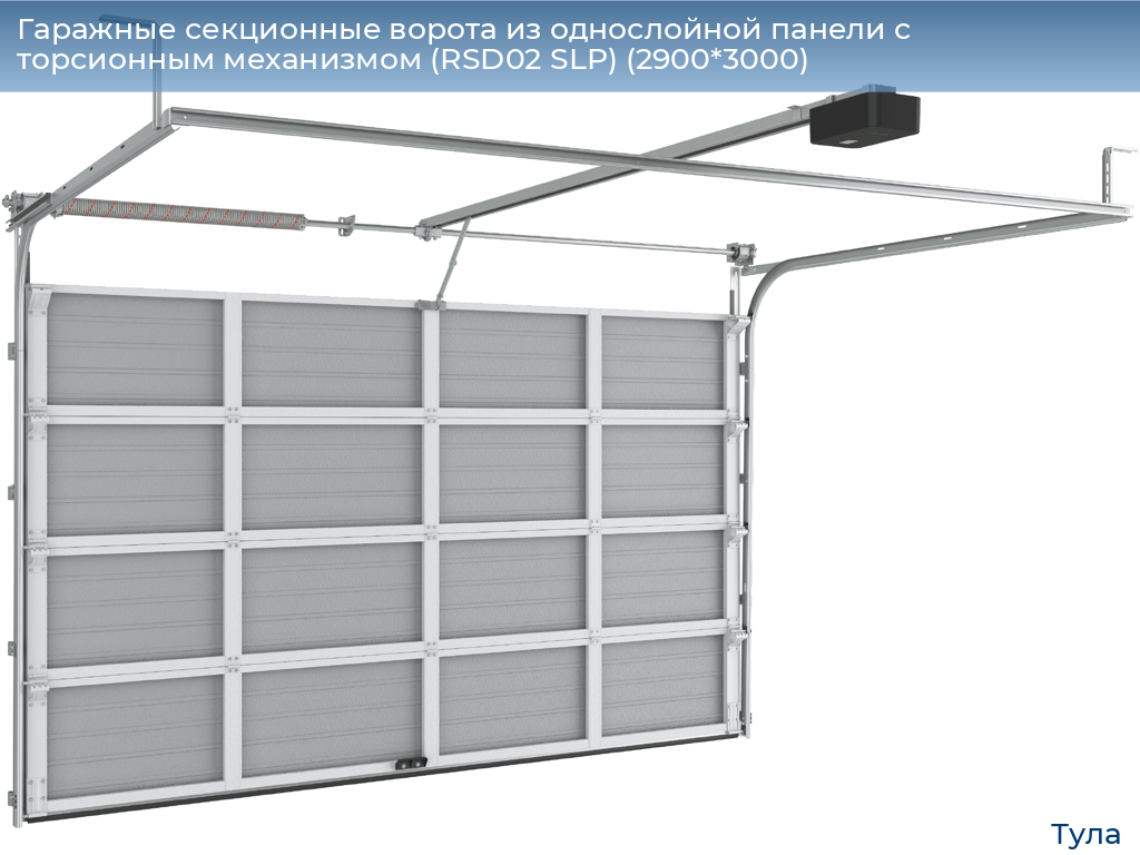 Гаражные секционные ворота из однослойной панели с торсионным механизмом (RSD02 SLP) (2900*3000), tula.doorhan.ru