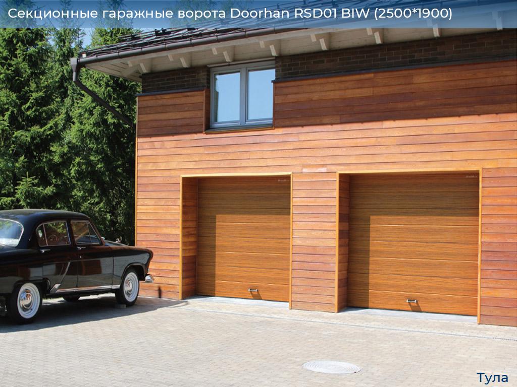 Секционные гаражные ворота Doorhan RSD01 BIW (2500*1900), tula.doorhan.ru