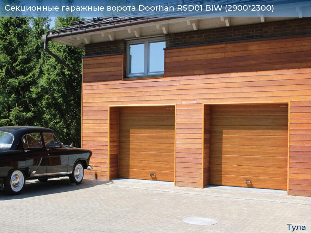 Секционные гаражные ворота Doorhan RSD01 BIW (2900*2300), tula.doorhan.ru
