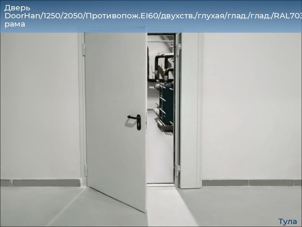 Дверь DoorHan/1250/2050/Противопож.EI60/двухств./глухая/глад./глад./RAL7035/лев./угл. рама, tula.doorhan.ru