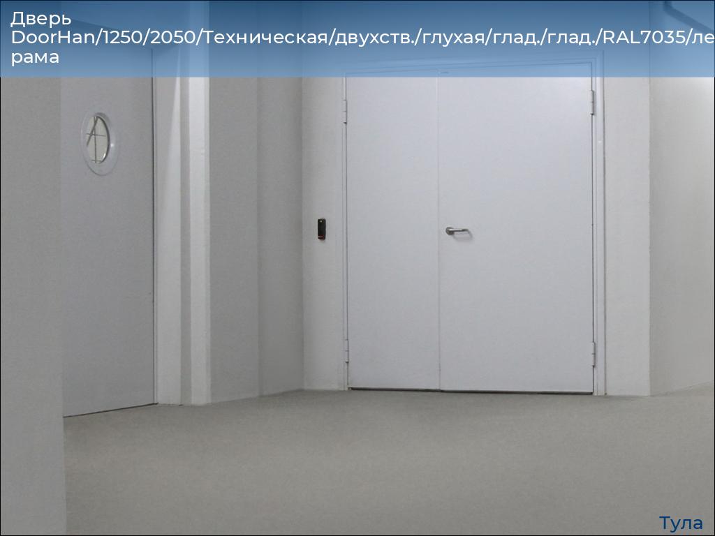 Дверь DoorHan/1250/2050/Техническая/двухств./глухая/глад./глад./RAL7035/лев./угл. рама, tula.doorhan.ru