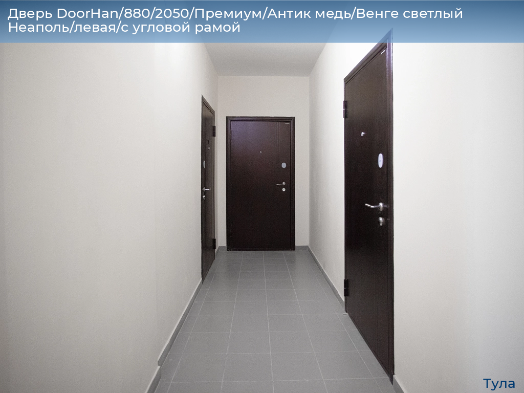 Дверь DoorHan/880/2050/Премиум/Антик медь/Венге светлый Неаполь/левая/с угловой рамой, tula.doorhan.ru