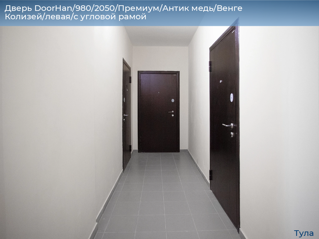 Дверь DoorHan/980/2050/Премиум/Антик медь/Венге Колизей/левая/с угловой рамой, tula.doorhan.ru
