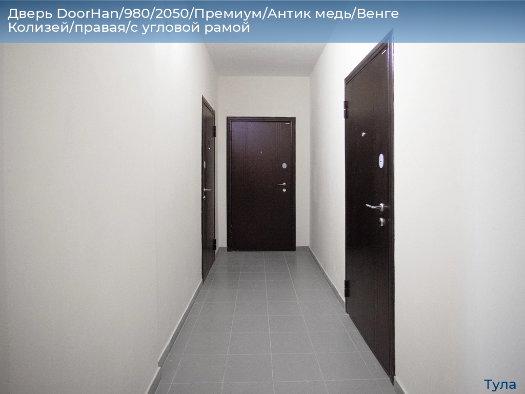 Дверь DoorHan/980/2050/Премиум/Антик медь/Венге Колизей/правая/с угловой рамой, tula.doorhan.ru