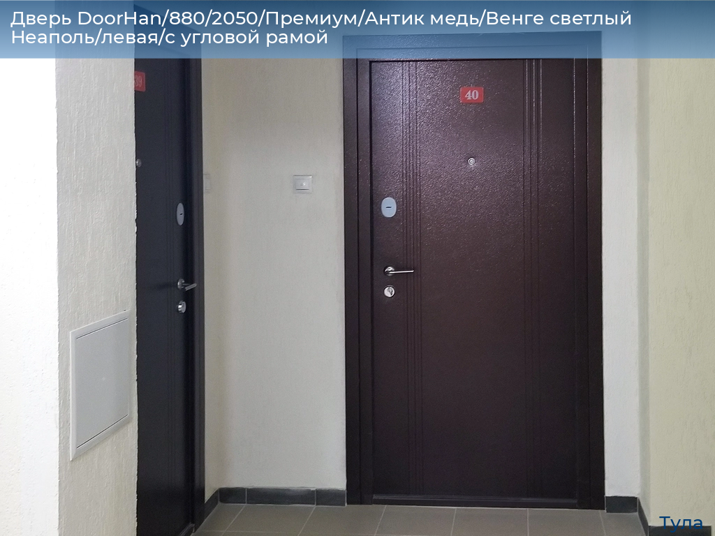 Дверь DoorHan/880/2050/Премиум/Антик медь/Венге светлый Неаполь/левая/с угловой рамой, tula.doorhan.ru