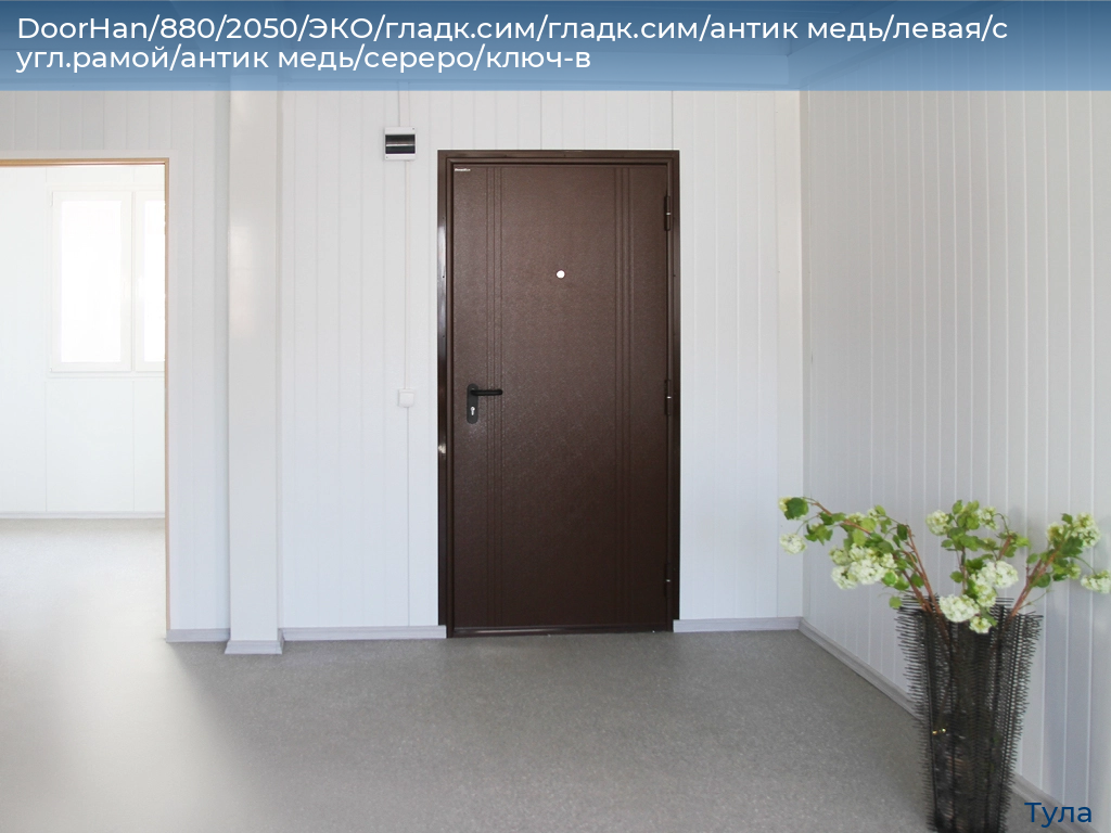 DoorHan/880/2050/ЭКО/гладк.сим/гладк.сим/антик медь/левая/с угл.рамой/антик медь/сереро/ключ-в, tula.doorhan.ru